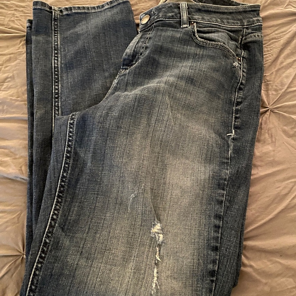 Lane Bryant Distressed straight leg Jeans